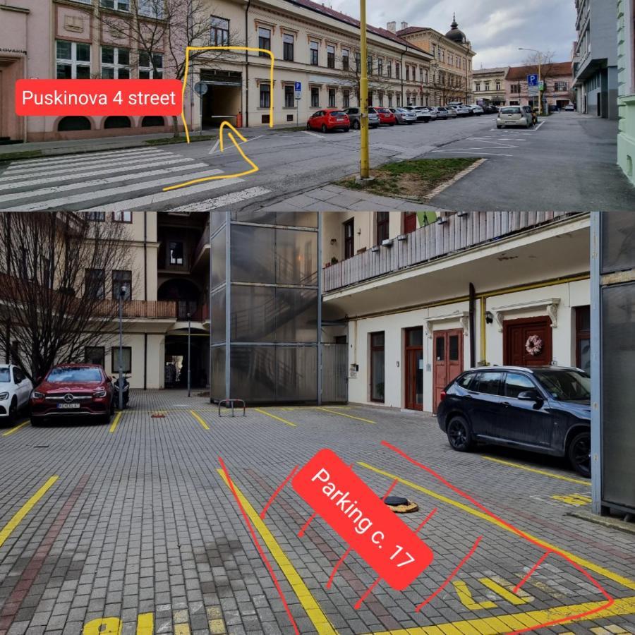 Center Apartment Mlynska Kosice With Private Parking Exterior photo